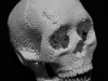 Skull Skull