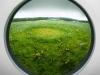 Fairy Ring with Dandelions