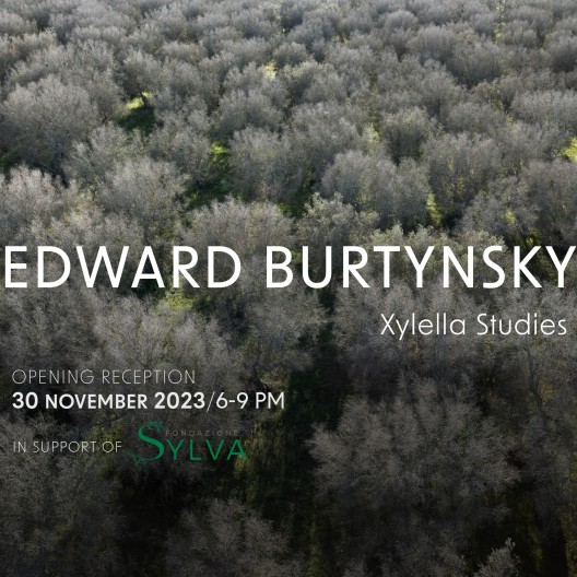 EDWARD BURTYNSKY, Xylella Studies. Io non Scendo, La Collezione di Laura Leonelli. Arboles di Hernan Pitto Bellocchio