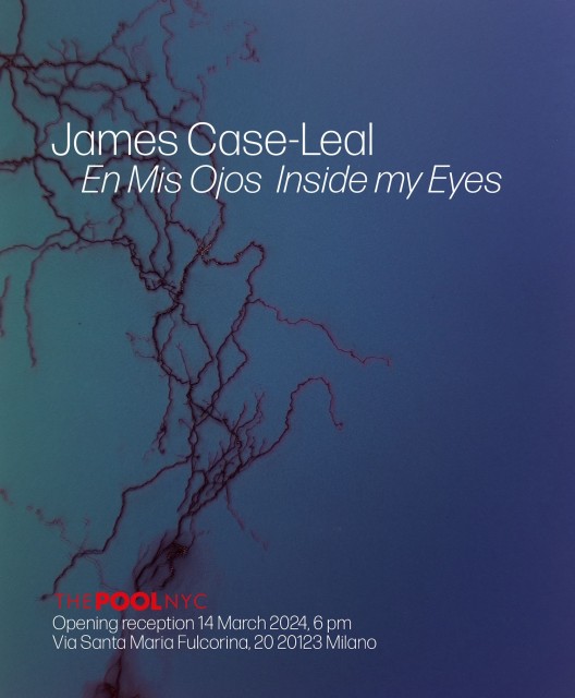 JAMES CASE-LEAL En Mis Ojos Inside my Eyes